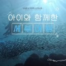 아라투어 - 동구 중앙로 210-1 | 세부 남부투어 추천! 초등학생 아이도 만족한 오슬롭 고래상어&투말록&모알보알 아라투어 후기