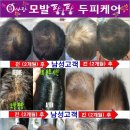 염색팡팡 이미지
