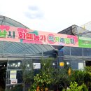 분당장터길 이미지