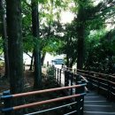 포도원흑돼지 | 제주 한라수목원 단체 식당 추천 포도원 흑돼지 삼겹살 맛집