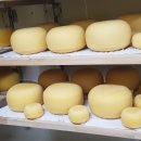 아리랑목장 이미지