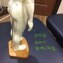 용암형제한의원 이미지