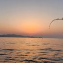 영복1호 이미지