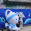 인성체육관 | 영탁 팬콘서트 후기! 장충체육관 직관하며 느낀 인성과 실제 만난 썰