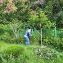 경북산소(주) 이미지