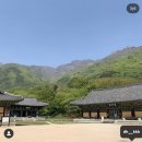 표충사 - 1903 | 표충사
