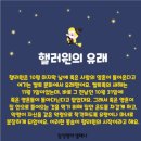 심곡초 | 2025년 초등 할로윈 파티 후기 사탕, 웃음, 그리고 추억! 심곡초영어 매봉초영어 삼성영어셀레나