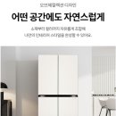 네이처컬렉션대전