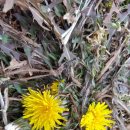 연담농장 이미지