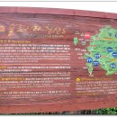 진산갯돌해수욕장 티스토리