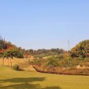 한양파인컨트리클럽 이미지