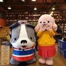 군산문화협동조합 로컬아이 이미지