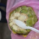석가