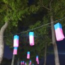 라비코리아 이미지