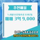 주공13단지 공인중개사사무소 | 관저동 관저114공인중개사사무소 매물 느리울11단지주공 1102동 매매 3억 9,000