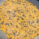 삼호푸드 | 목포 근교 영암 삼호 호가양푼이. 푸짐한 해물찜맛집