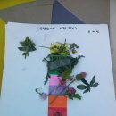 가구단지길 이미지