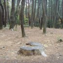 늘푸른 관광농원 이미지