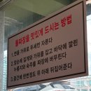 만리포식당 | 태안 만리포해수욕장 반려견 동반 식당 [만리포 돌짜장] 방문 후기!