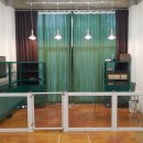 미용하개, 놀다가개 이미지