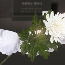 용인제일메디병원 이미지