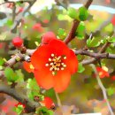 여기가 좋겠네 이미지