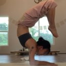 필라테스미 이미지