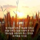 🌺🍒하나님의 부름받은 아브라함 이미지