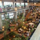 제주국제평화센터작은도서관 이미지