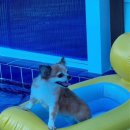 성원펜션 이미지