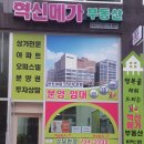 여우스킨&왁싱