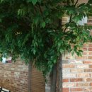 가나다부동산공인중개사사무소 이미지