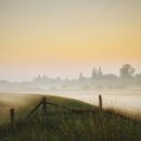 새벽(주) 이미지