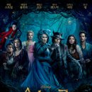 숲속으로 이미지