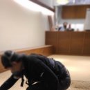 블루프린트커피 이미지