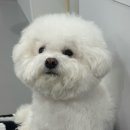 이즈멍 네이버블로그