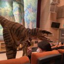 공룡 애니멀 쇼 이미지