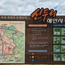 해안사구 이미지