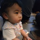 대전아쿠아리움 이미지