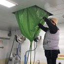 중동초등학교1 이미지