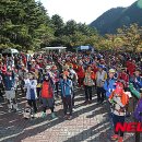 동해시-37 이미지