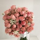 쥬레아플라워
