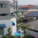 제주조천물고기 이미지