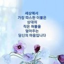 일체유심조 이미지