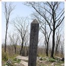 청태산자연휴양림 이미지