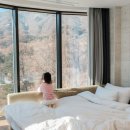 크루지아나 이미지