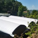 이영신 농장 이미지