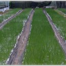 순창농장 이미지