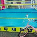 성남권투체육관 이미지