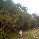 혜숙농장 이미지